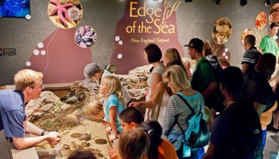 hands on aquarium experience